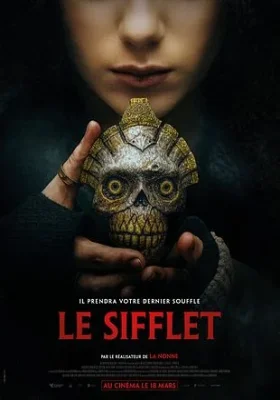 Couverture de film